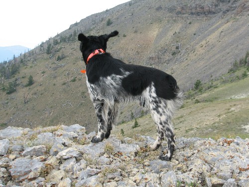 its windy at the top